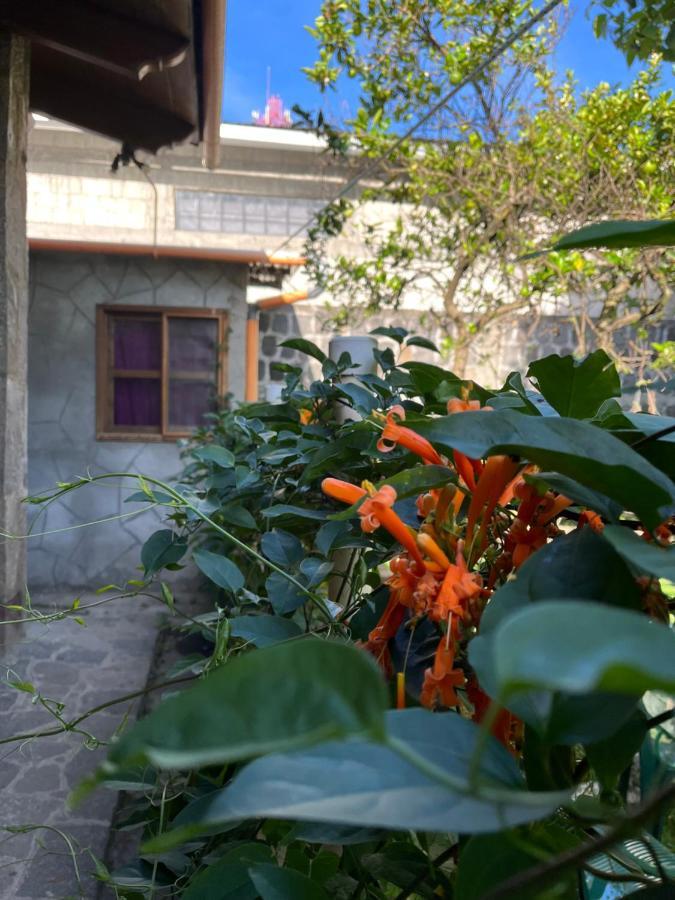 Casa Qatzij - Guest House, Lake Atitlan San Lucas Tolimán Exteriör bild